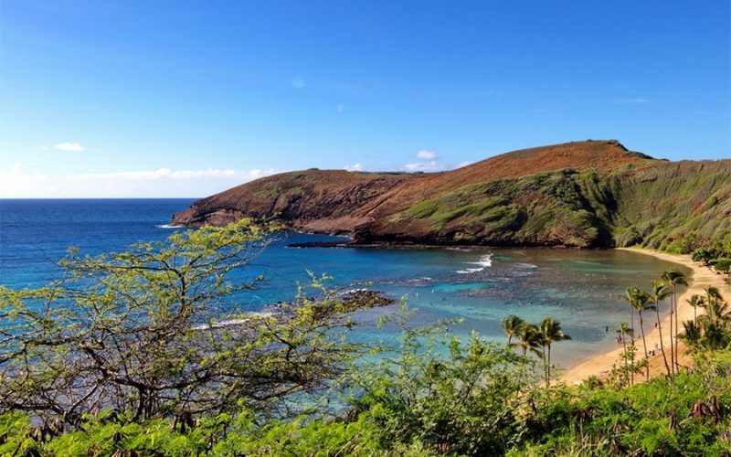 Hawaii(900×600)
